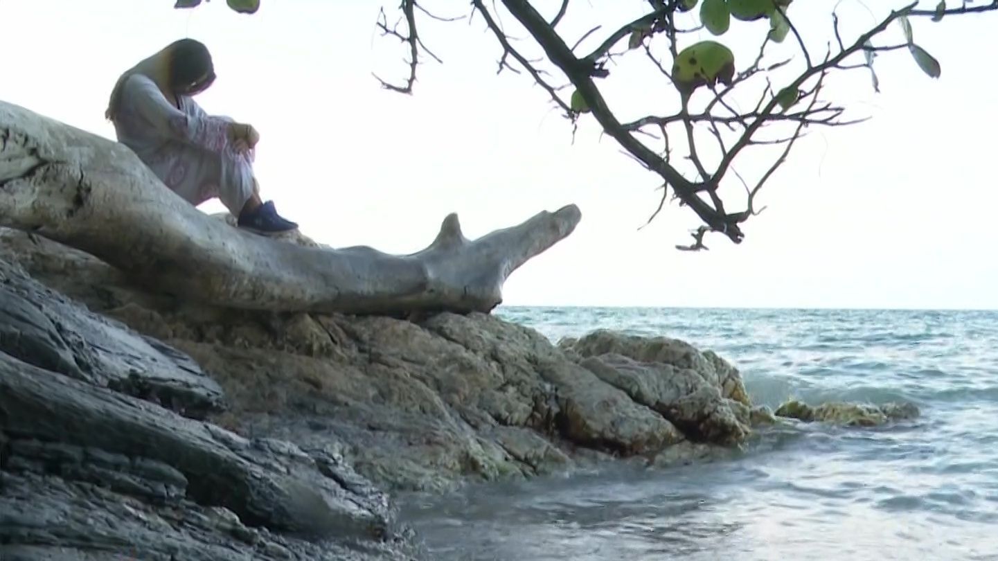 Moleskine del gato 05