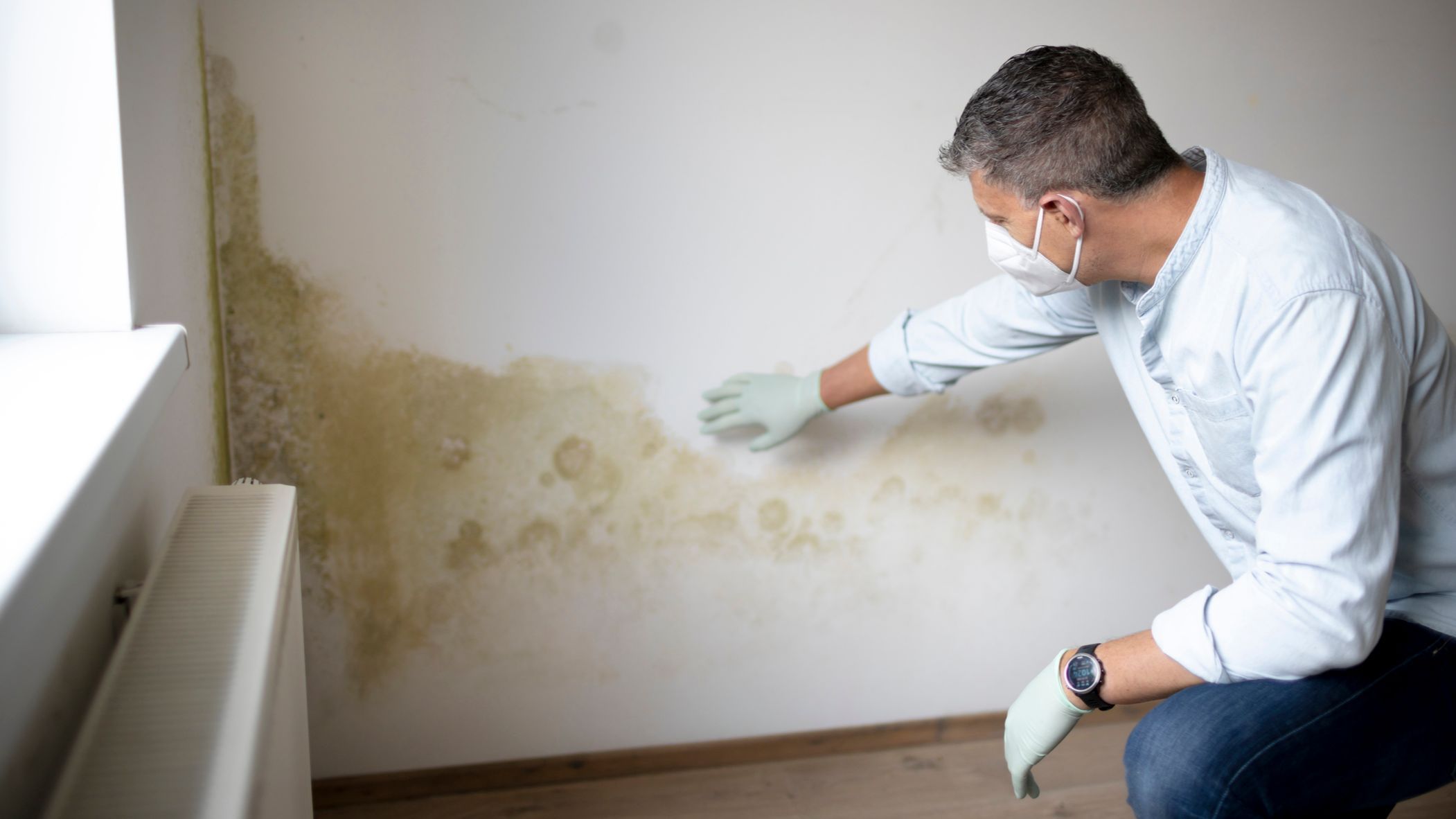 Elimina el moho de las paredes y suelo
