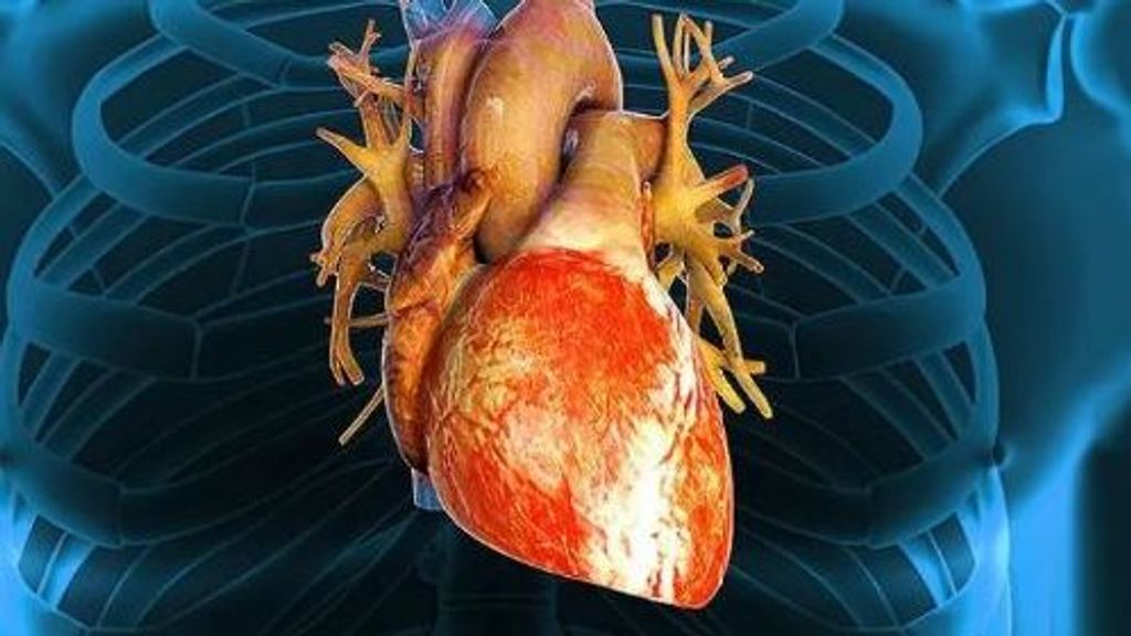 El ayuno intermitente y las cardiopatías: un nuevo estudio revela una relación