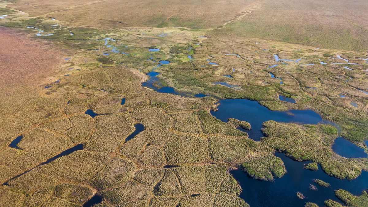 Los virus prehistóricos latentes en el permafrost preocupan a los científicos