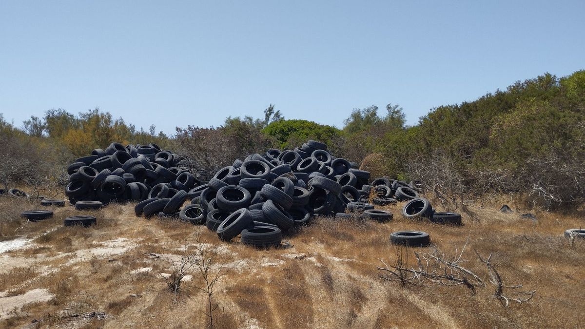 Neumáticos usados en la Reserva Natural de Punta Entinas-Sabinar, El Ejido, Almería.