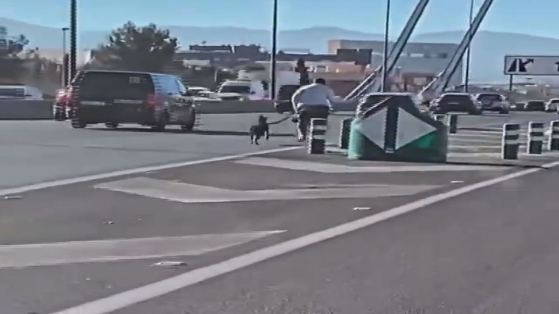 Circula en bicicleta por la autovía GR30 de Granada mientras pasea a su perro poniendo a todos en peligro