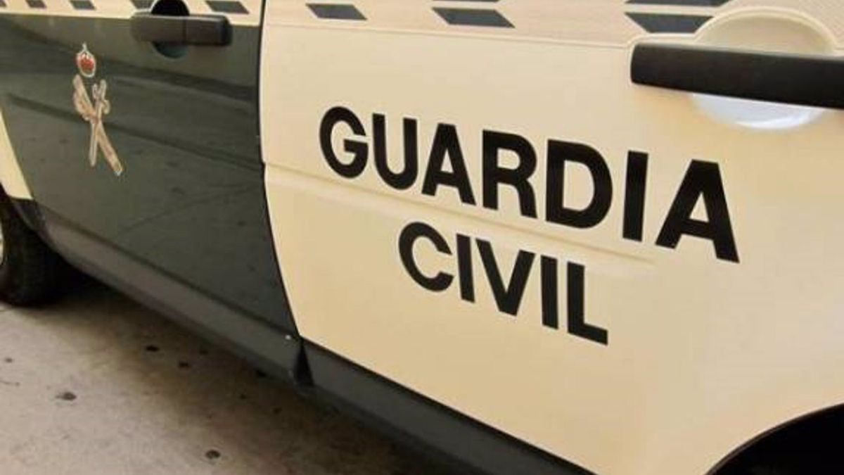 El cuerpo descuartizado hallado en la planta de reciclaje de Algimia de Alfara es de un hombre El cuerpo descuartizado hallado en la planta de reciclaje de Algimia de Alfara es de un hombre