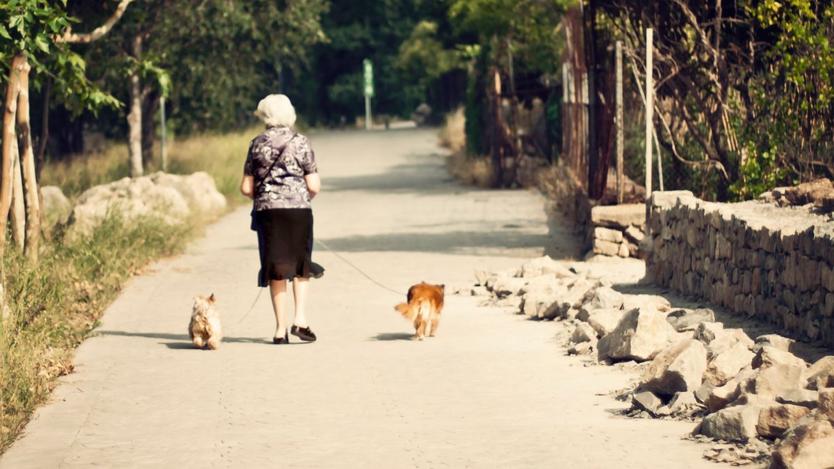 Una mujer mayor camina con sus perros por un parque