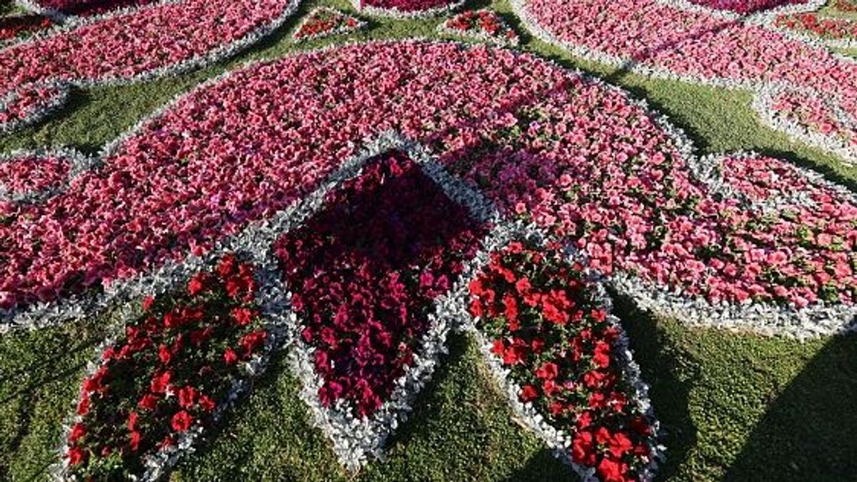 Festival internacional de Flores en Badgag (marzo 2023)