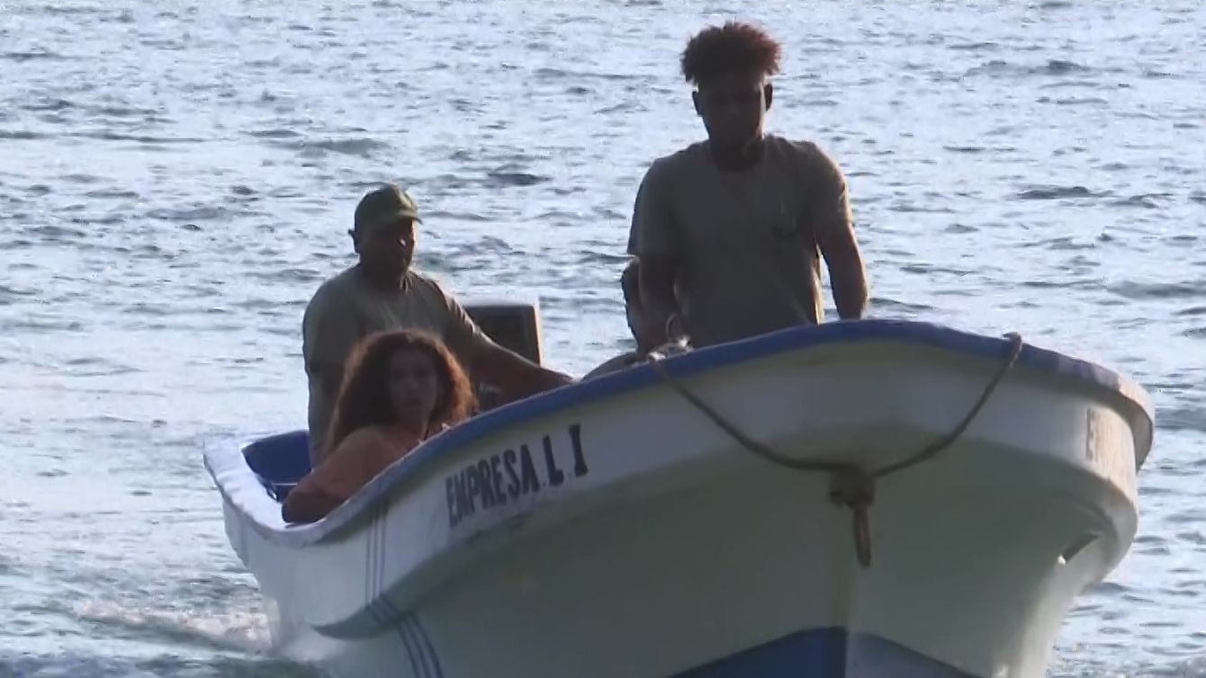 Moleskine del gato 12