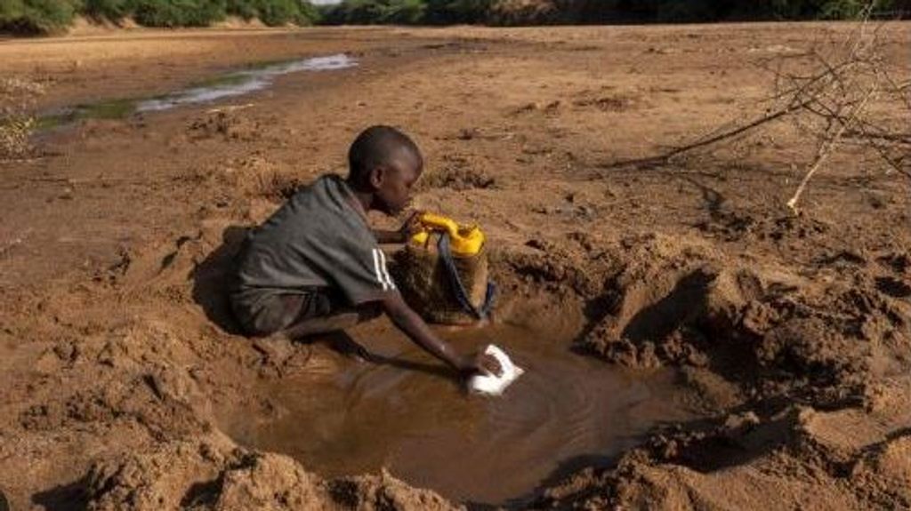 Día Mundial del agua: entre 2.000 y  3.000 millones de personas sufren la escasez