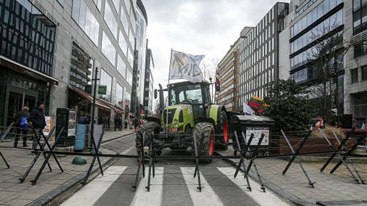 Manifestación de agricultores en Bruselas (Imagen de archivo) Manifestación de agricultores en Bruselas (Imagen de archivo)