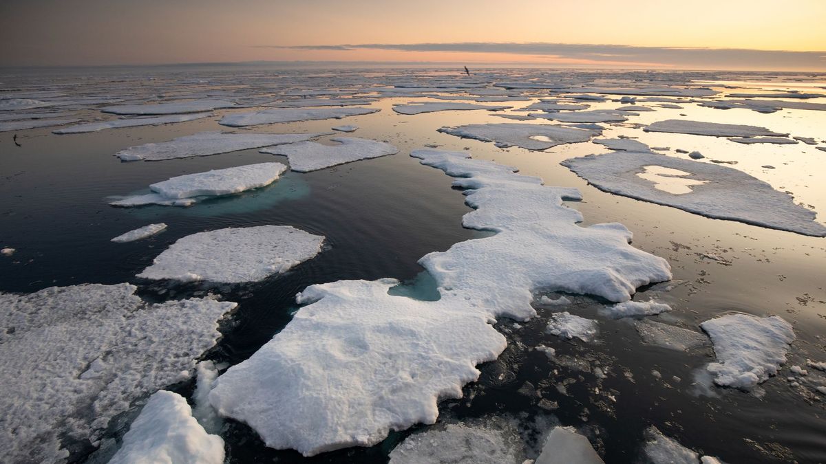 El hielo marino se derretirá del todo en las próximas décadas