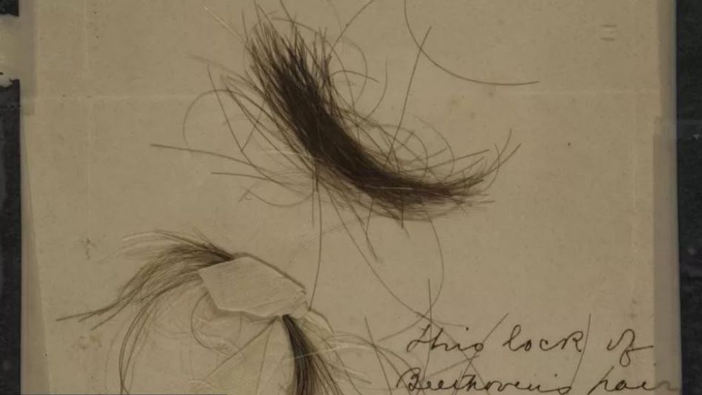 Mechón de pelo de Beethoven analizado