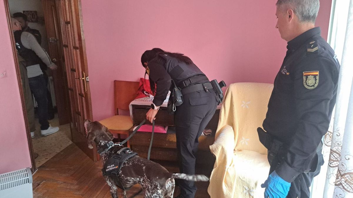 Se intervinieron más de 6.500 euros en los domicilios de los cuatro detenidos Se intervinieron más de 6.500 euros en los domicilios de los cuatro detenidos