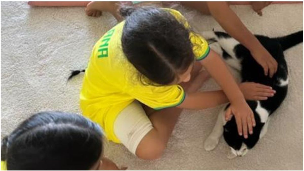 El gato que adoptaron Cristiano y Georgina tenia dueños: era de Fernando Torres y su mujer El gato que adoptaron Cristiano y Georgina tenia dueños: era de Fernando Torres y su mujer