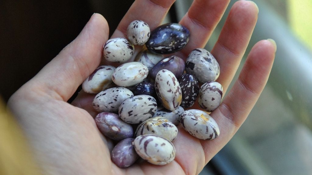 ingredient gde293e5e7 1280