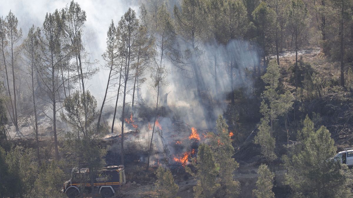 Quinientos efectivos luchan contra el primer gran incendio del año en España