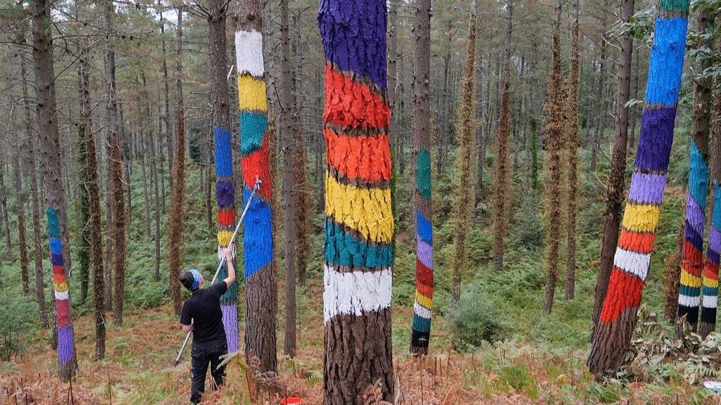 Rehabilitación de los árboles del Bosque de Oma de Ibarrola