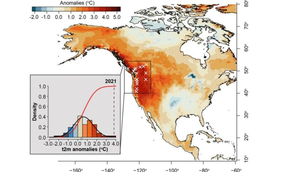 Anomalía de las temperaturas registradas en el noroeste del Pacífico en el verano de 2021