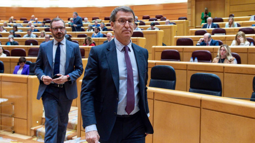 El presidente del PP, Alberto Núñez Feijóo, ayer en el Senado