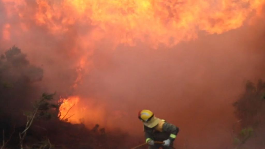 Arde Asturias: las imágenes más duras de los más de 100 incendios provocados
