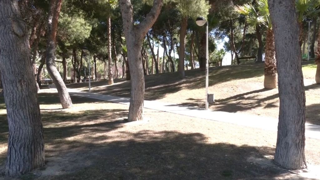 Dos menores, detenidos en Alicante por presuntamente agredir sexualmente a un menor en un parque