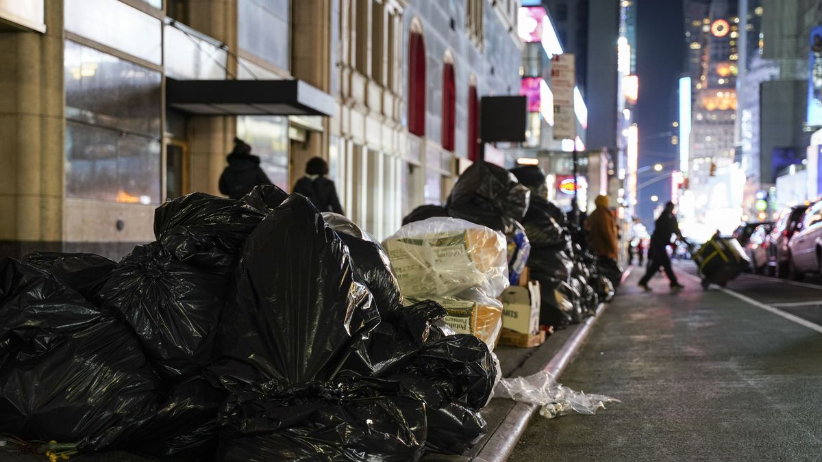 Nueva York le declara la guerra a las ratas: cambian el horario para sacar la basura a la calle