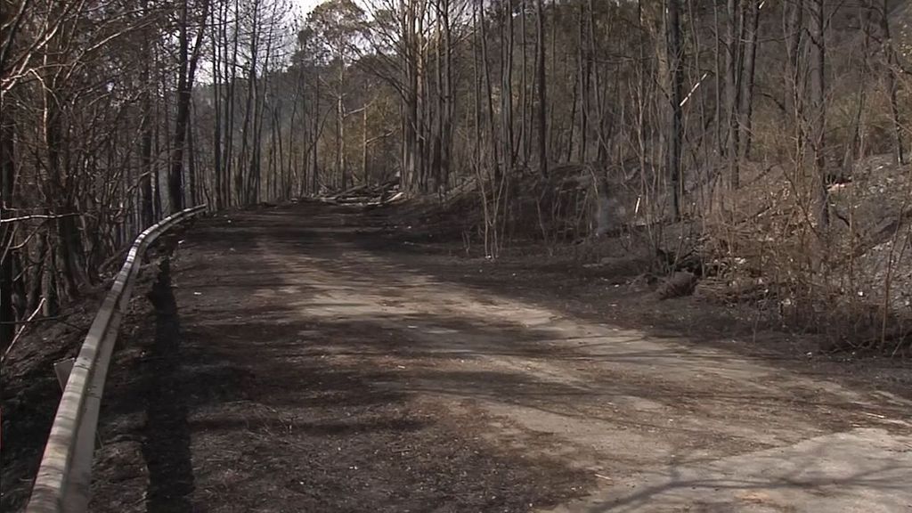 Asturias evalúa los daños tras poner fin a la oleada de incendios forestales