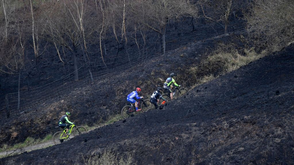 Asturias rebaja el nivel de alerta por los incendios: el fuego ha arrasado 11.000 hectáreas