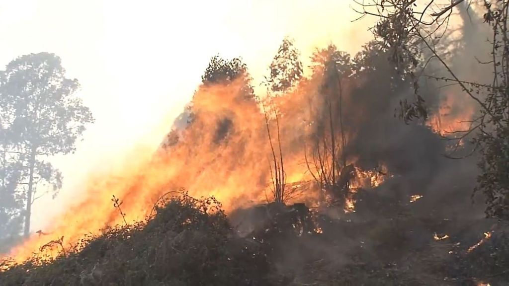 La situación del incendio en La Regueras, Asturias: está activo y cercano a viviendas