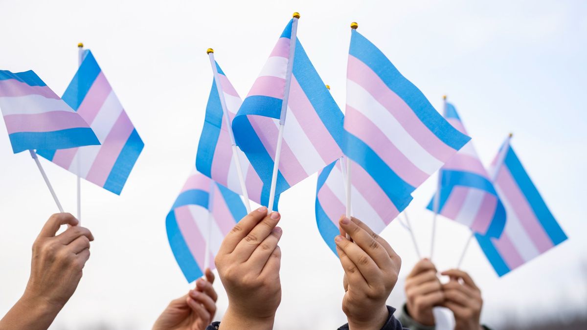 Banderas transexual