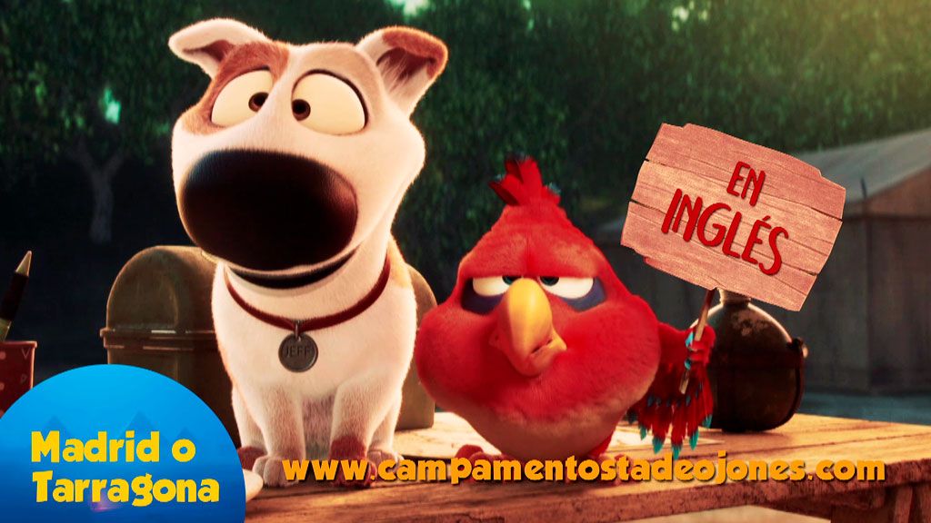 Campamentos Tadeo Jones: para niños de 6 a 12 años, en inglés