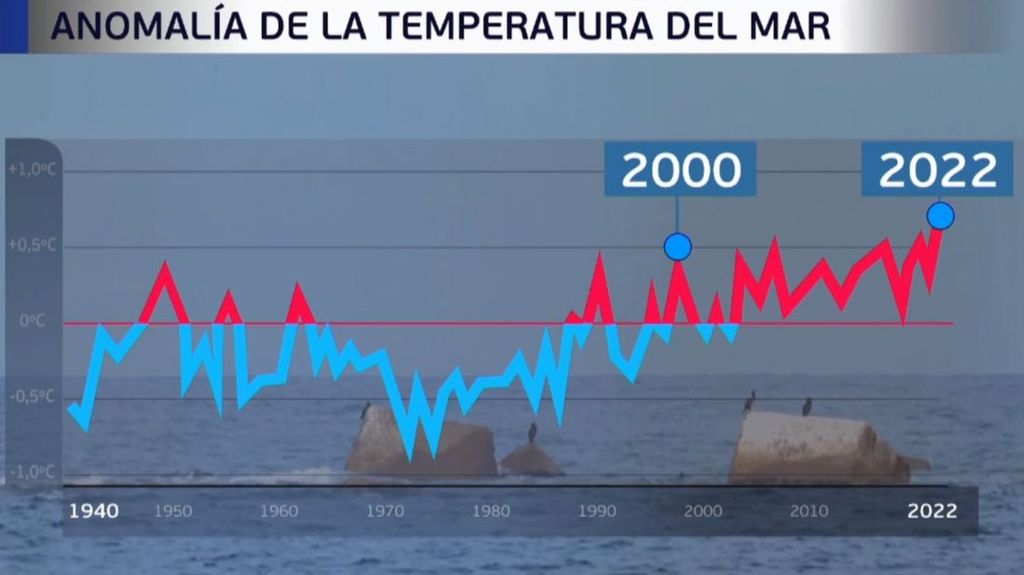 El panel de Alba Lago: El calentamiento del mar, imparable