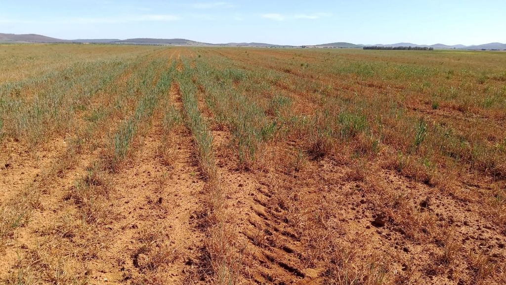 La segunda quincena de abril empezará con poca lluvia en España