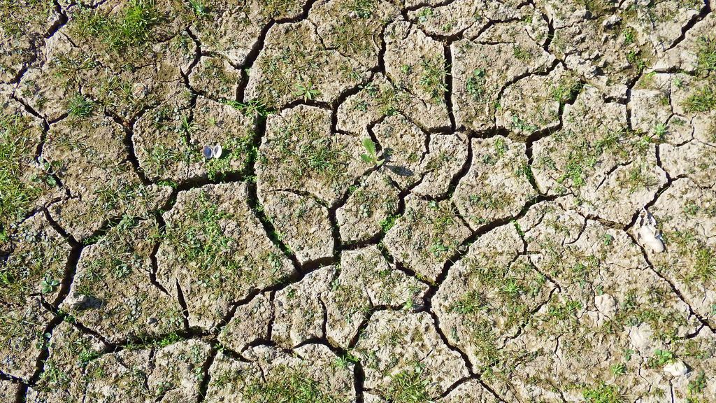 Marzo y abril agudizan la sequía: "Ni hay agua en los embalses, ni llueve. La tierra está como si estuviéramos en verano"