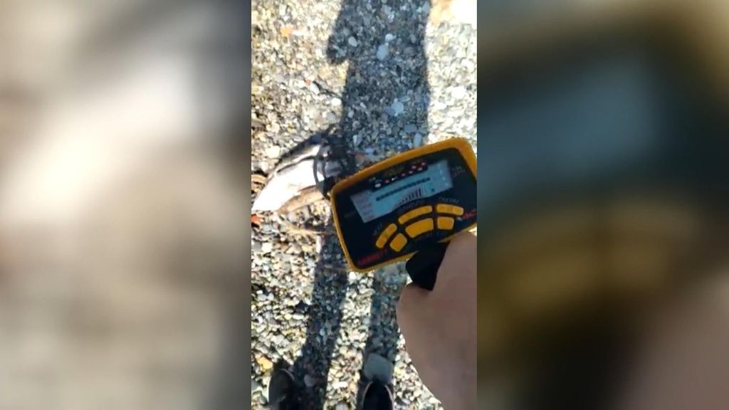 Un detector pita "con intensidad" sobre el cadáver de una gaviota en Almería