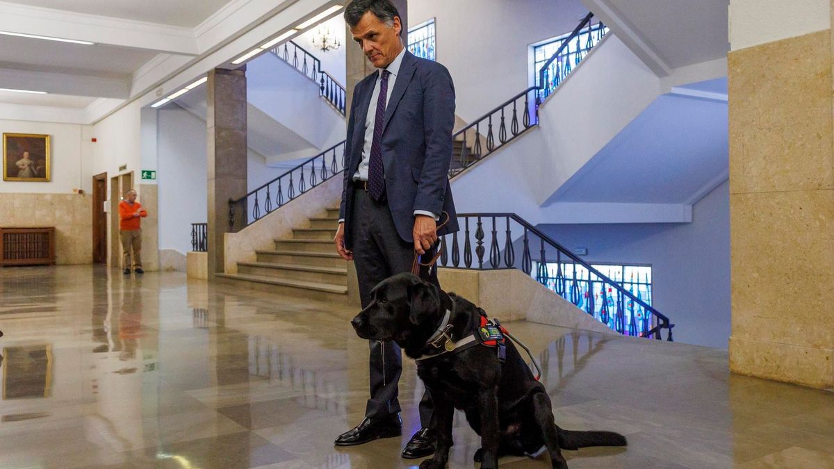 El perro Pusky, los ojos de un magistrado de la Audiencia de Sevilla