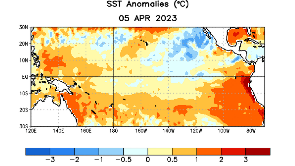 Las TSM por encima del promedio se acentúan en el Océano Pacífico ecuatorial occidental y oriental