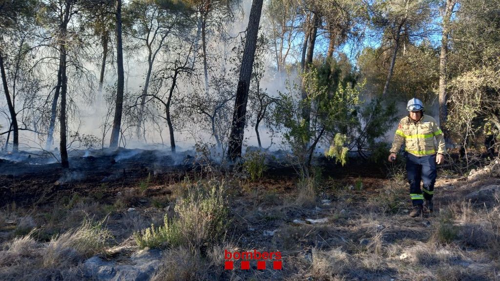 El incendio originado en Francia y que ha llegado a Portbou, Girona, estabilizado