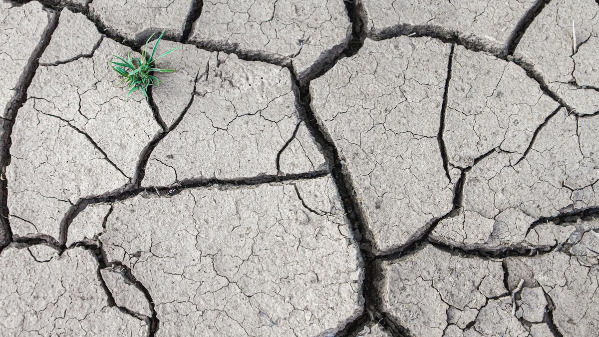 Alerta por sequía: los alimentos que más suben de precio por la falta de lluvia