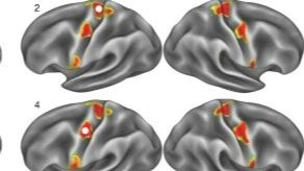 Descubren el punto concreto donde se 'funden' el cuerpo y la mente 