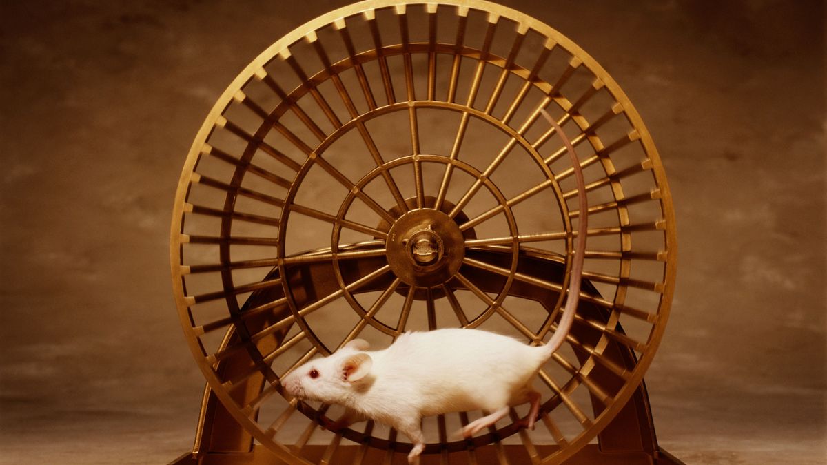 Qué es la carrera de la rata y cómo salir de ella para empezar a ahorrar