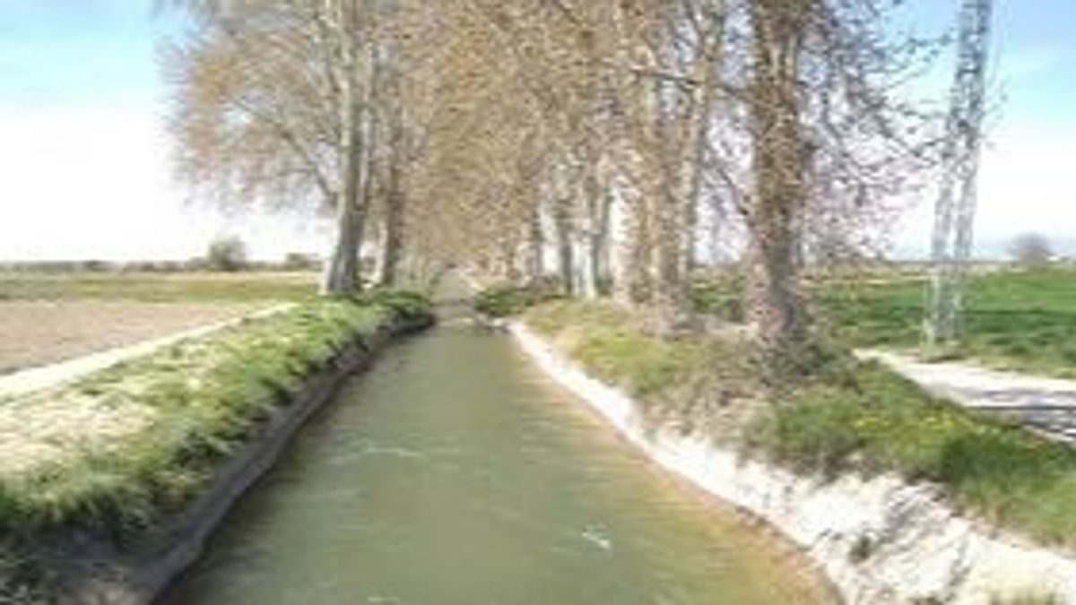 Imagen de un tramo del Canal d'Urgell