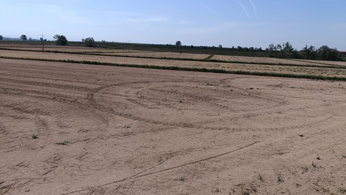 Campo preparado para el cereal de verano, se ha quedado sin sembrar por el cierre del canal de Urgell