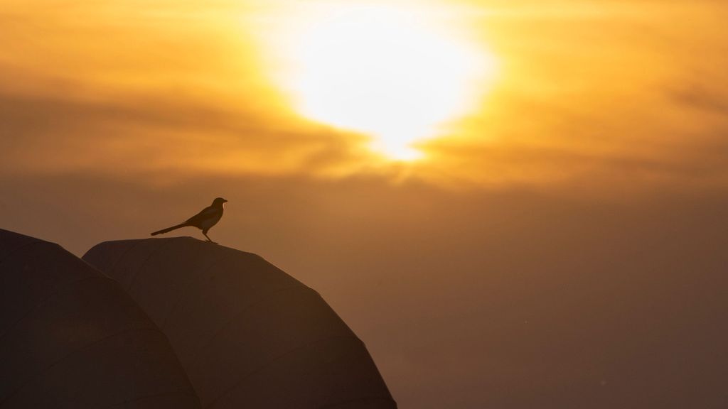 Las primeras noches tropicales a más de 20 grados llegan a España