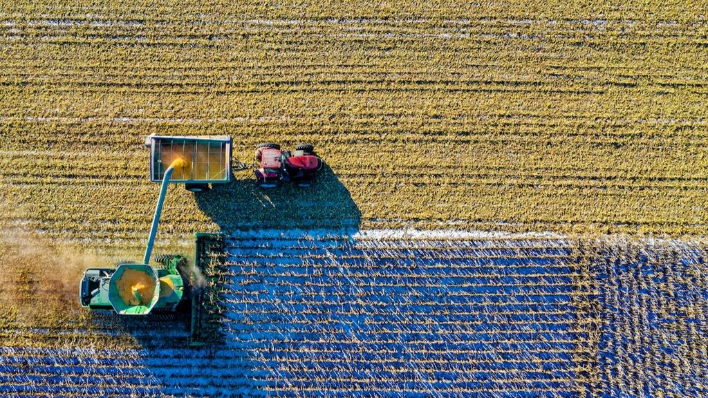 Trabajos en riesgo de extinción por la sequía