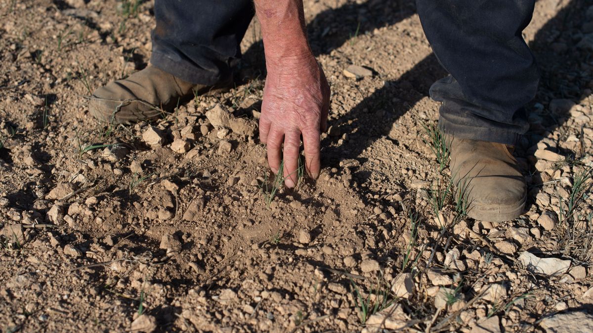 Un agricultor muestra la tierra seca, a 20 de abril de 2023, en Murcia
