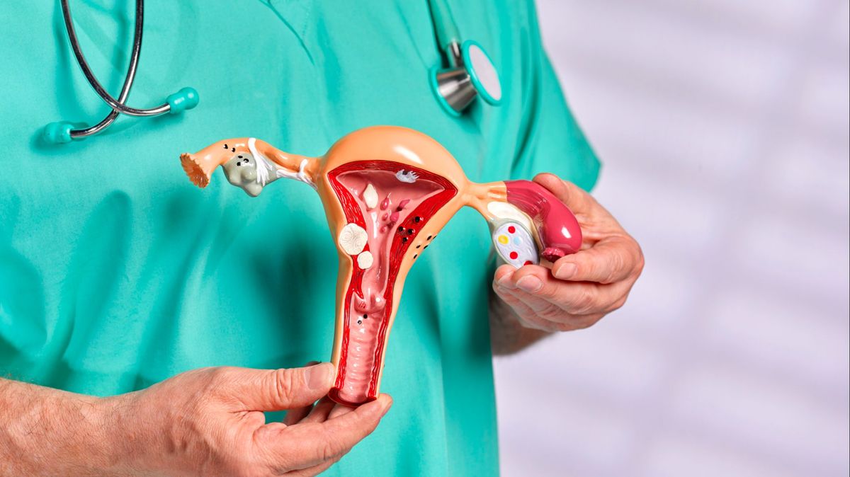 Una mujer acude al hospital por endometriosis y se despierta sin útero: se lo extirparon sin avisar