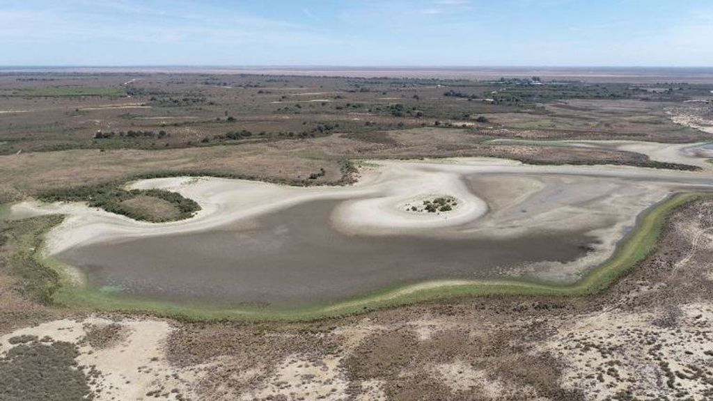 Doñana se muere: sin agua, sin pájaros, la alerta de Seo/BirdLife
