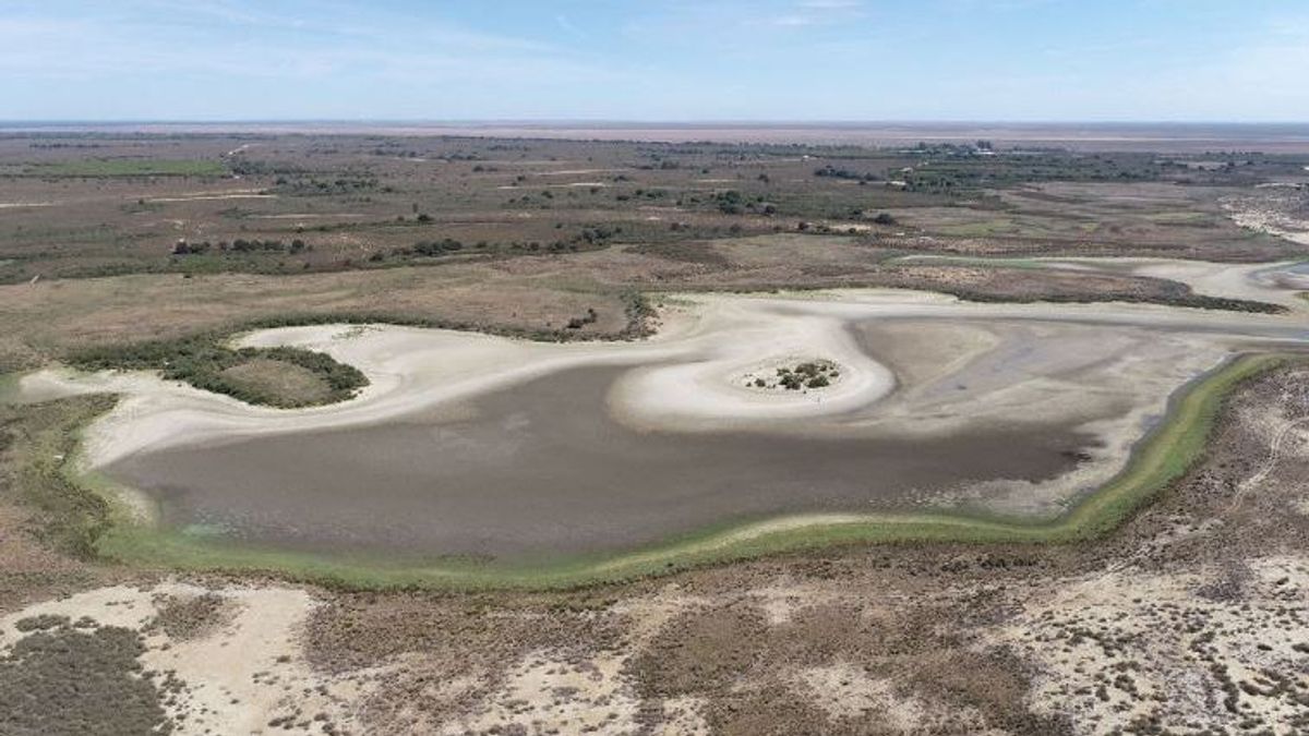 El parque de Doñana sufre la sequía y la mala gestión política