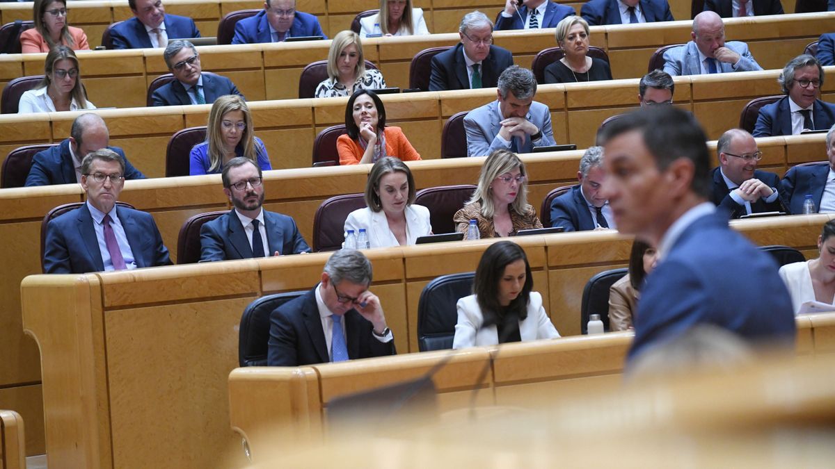 El presidente del Gobierno, Pedro Sánchez, interviene desde la tribuna del Senado ante la mirada de Alberto Núñez Feijóo