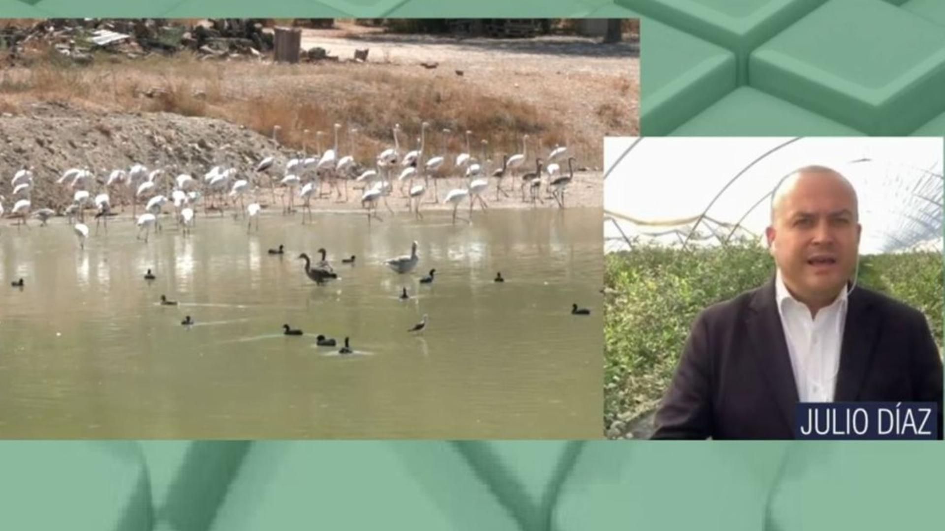 El programa de Ana Rosa