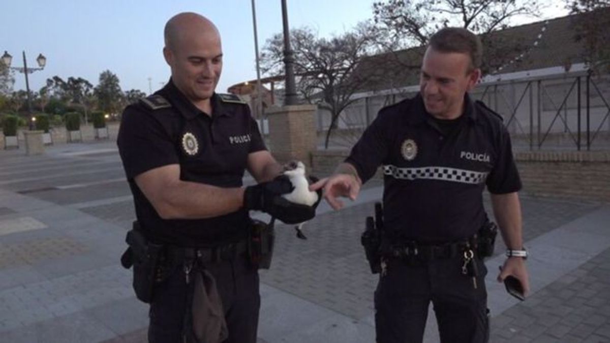Policía Local con el pingüino
